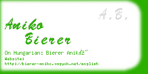 aniko bierer business card